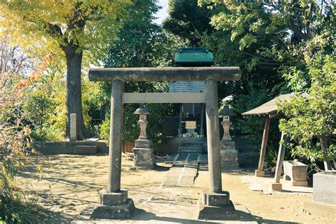 青龍 神社|青龍神社